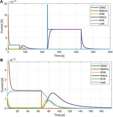 The bioelectric mechanisms of local calcium dynamics in cancer cell proliferation: an extension of the A549 in silico cell model